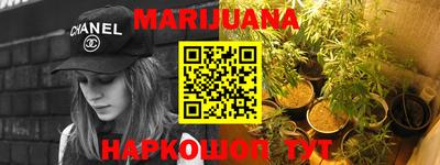 шишки Заволжье