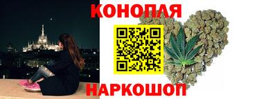 шишки Заволжье