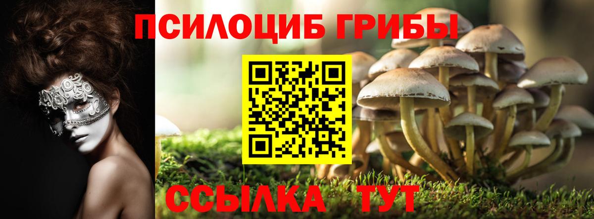 сколько стоит  Галлюциногенные грибы прущие грибы  Галлюциногенные грибы мухоморы  Вход с VPN  Тверь 